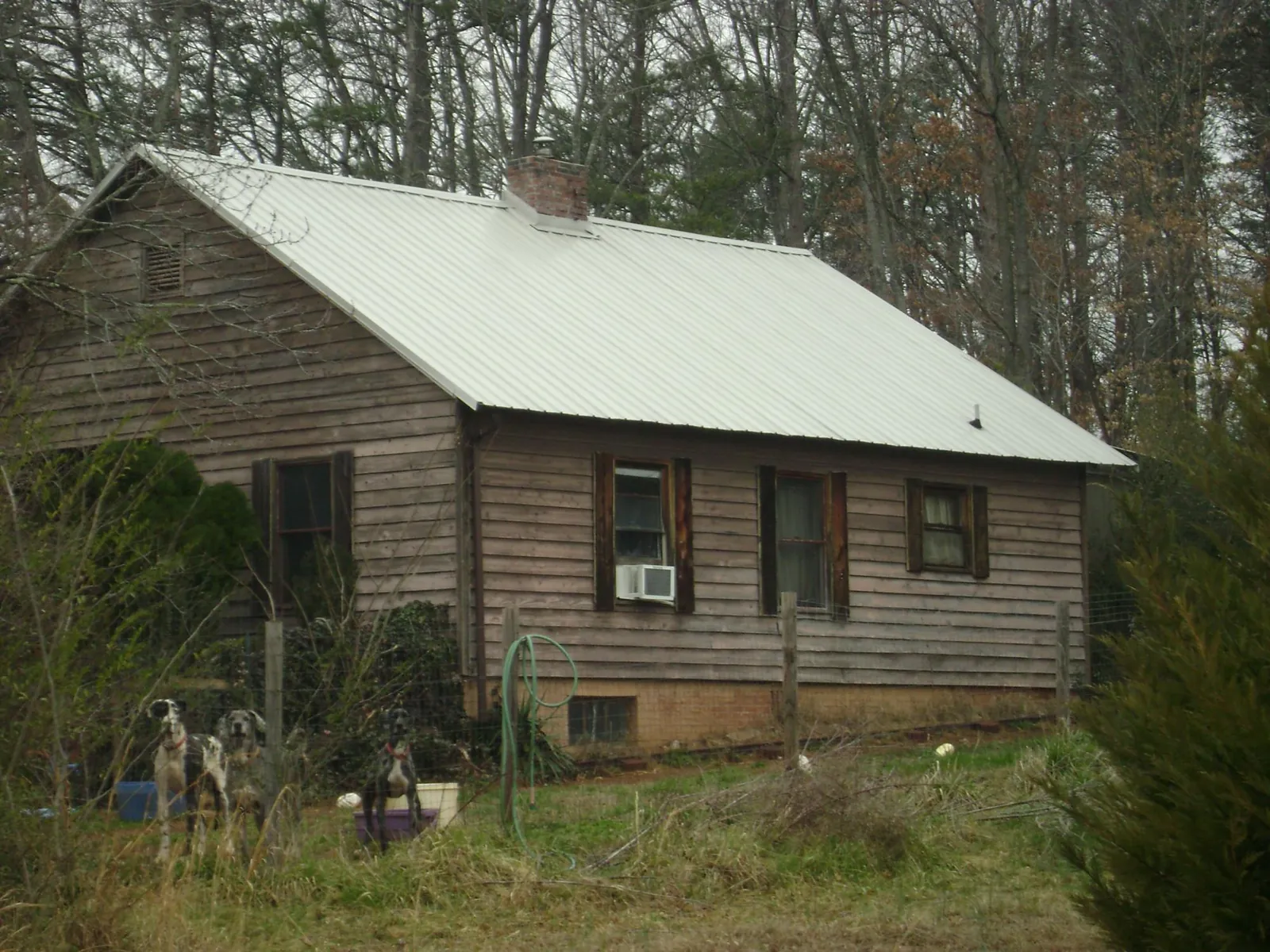 White metal roof on an old wood sided farmhouse, from a Metal Roof Installation job in Federalsburg